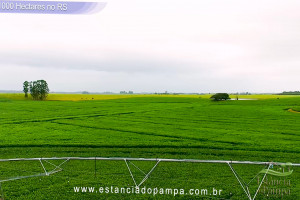 VB 4.00_02_38_19.Quadro040_70d14e9f982cb6f1c3f428b96c0aded8c6770ecf.jpg